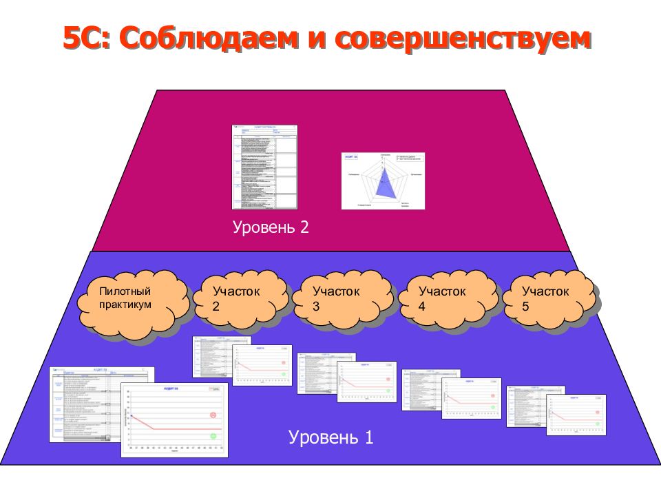 Уровни участке. 5 Уровней аудита. Базисное по для презентации. Персональный паспорт потребителя. Ценности БП.