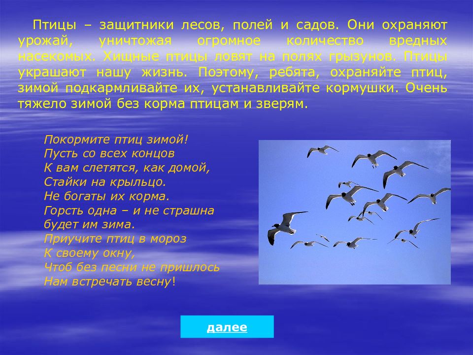 Птица защитник. Птицы защитники леса картинки. Возвращаются теплых птицы стран из ,составить предложение. Стих благодарность защитникам птиц и животных.