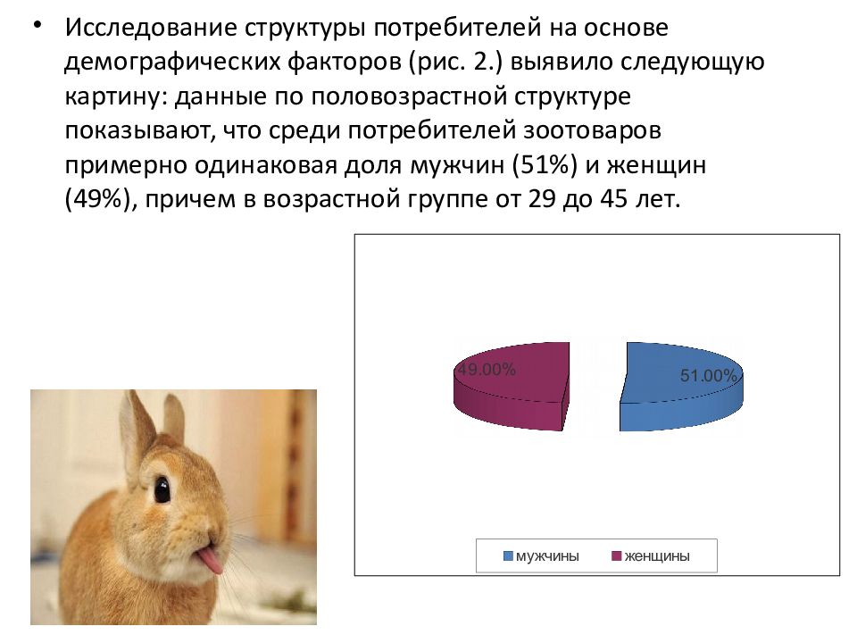 Открытие зоомагазина с нуля бизнес план