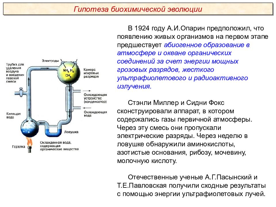 Анализаторы презентация пименова