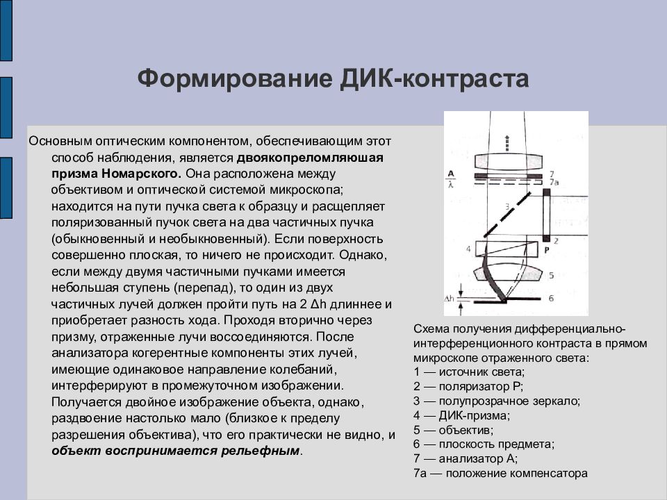 Формирование 30. Интерференционный микроскоп схема. Дифференциально-интерференционный контраст Дик. Схема микроскопа дифференциально-интерференционного контраста. Метод интерференционного контраста.