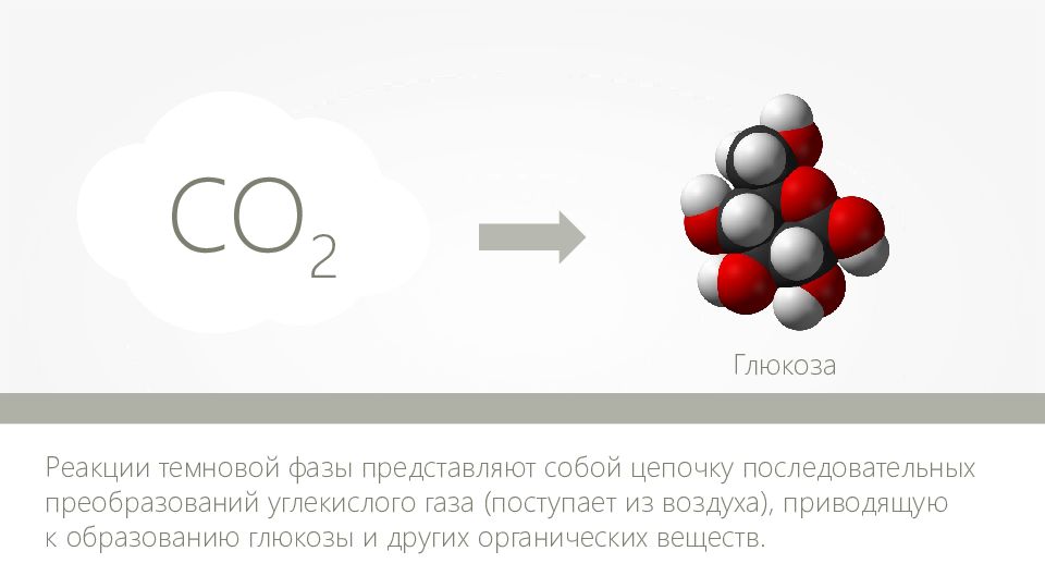 Углекислый газ глюкоза сорбит