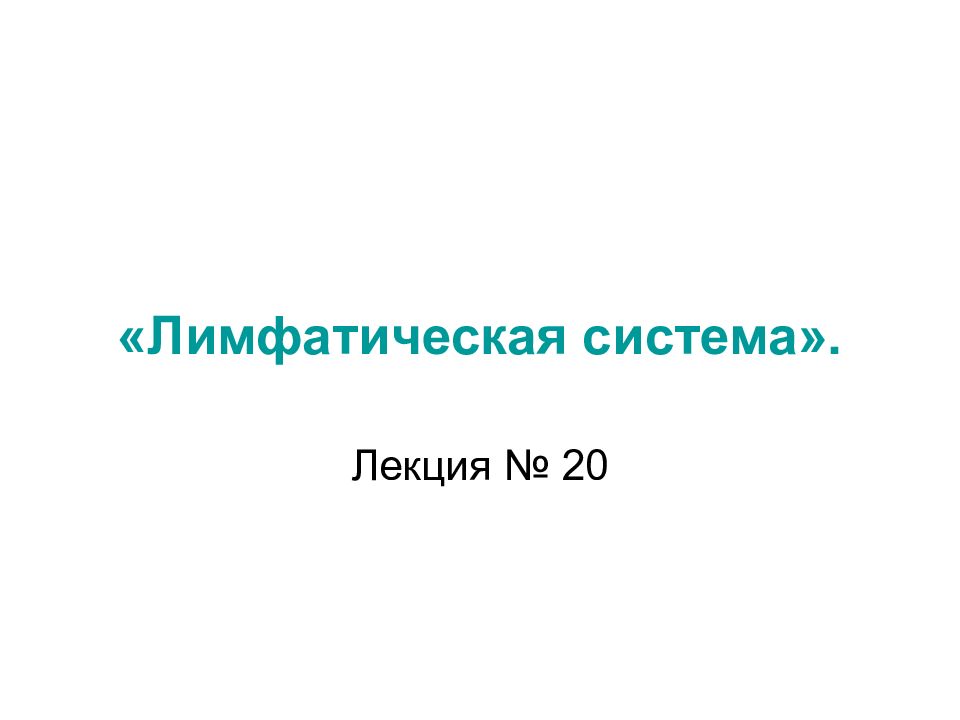 «Лимфатическая система».