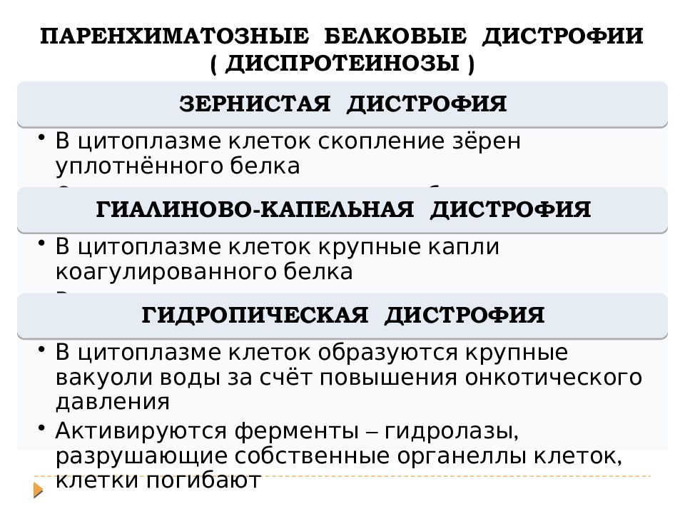 Паренхиматозные дистрофии виды. Паренхиматозные белковые дистрофии. Дистрофия классификация дистрофии. Виды клеточных диспротеинозов. Зернистая белковая дистрофия.