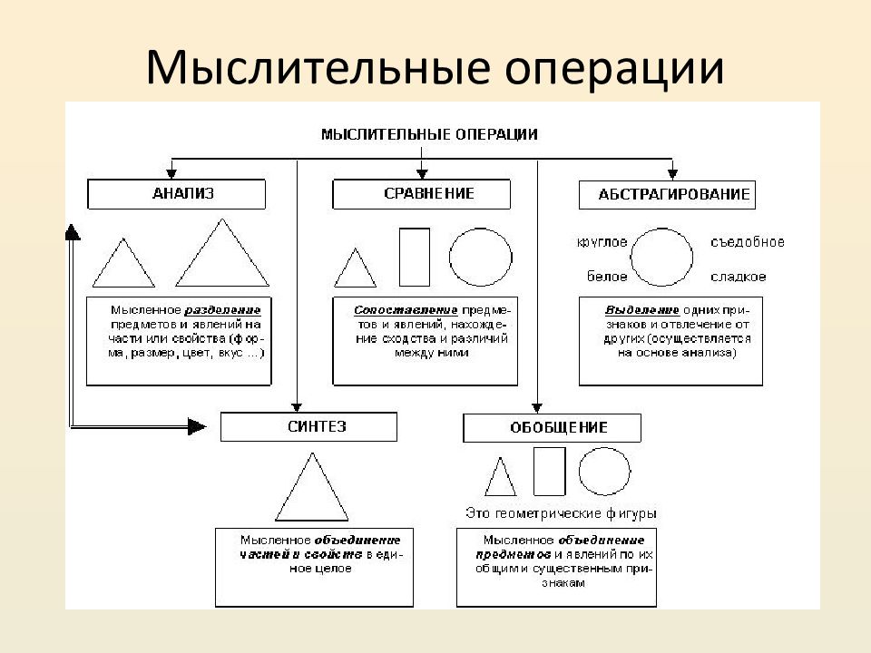 Какие схемы мышления отвечают в первую очередь за умение извлекать информацию