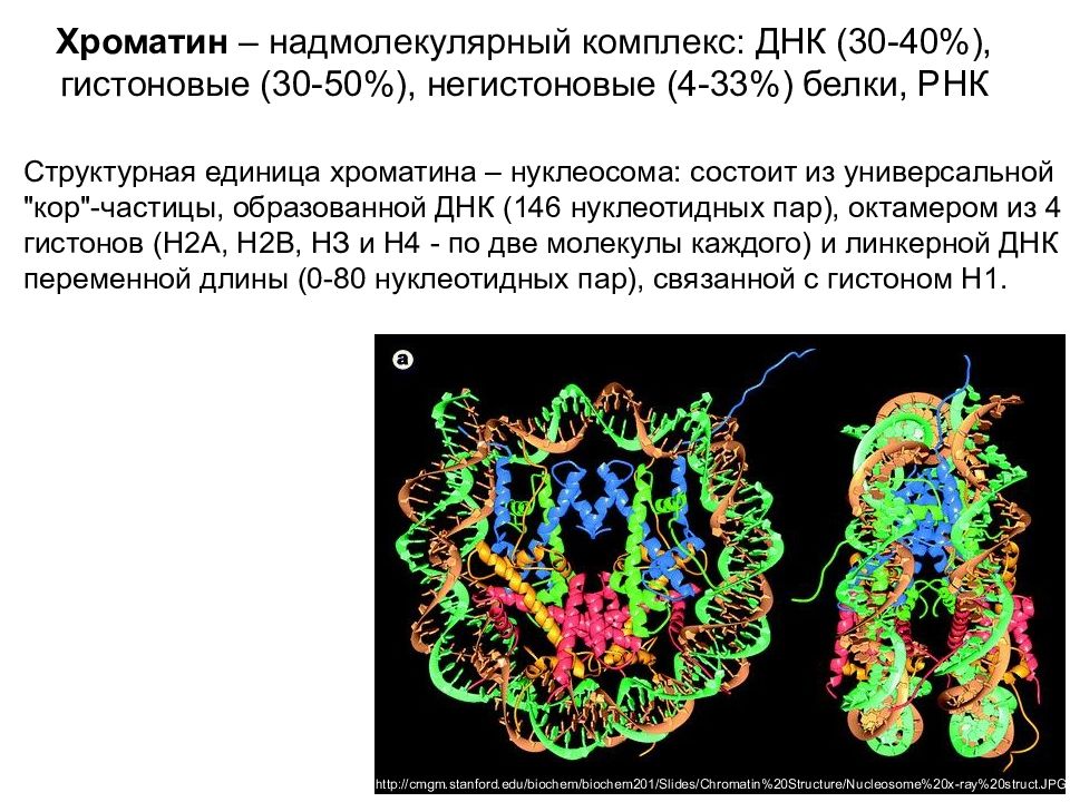 Роль хроматина