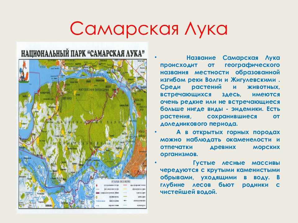 Самарская лука презентация