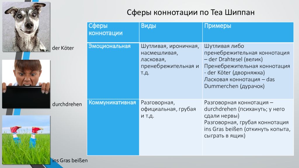 Отрицательная коннотация. Коннотация примеры. Коннотативное значение. Эмоциональная коннотация примеры. Коннотативные слова примеры.