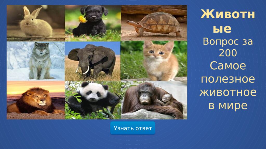 Мир весенней природы