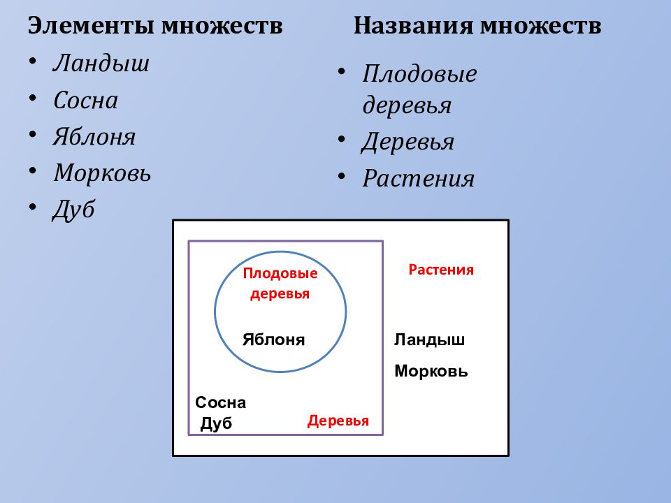 Множество и его элементы