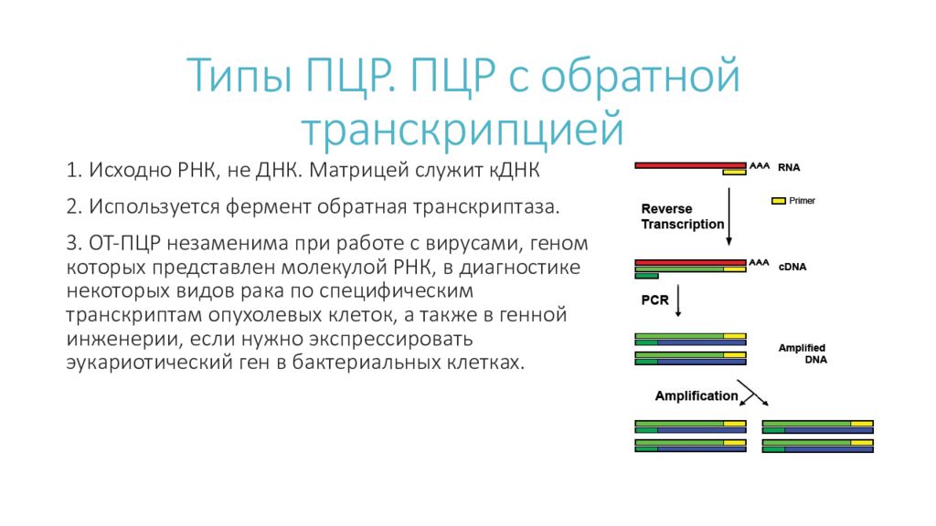 Рнк исследования. Схема ДНК-полимеразной реакции. ПЦР тест метод РНК. Этапы ПЦР В генетике. ПЦР Тип реакции.