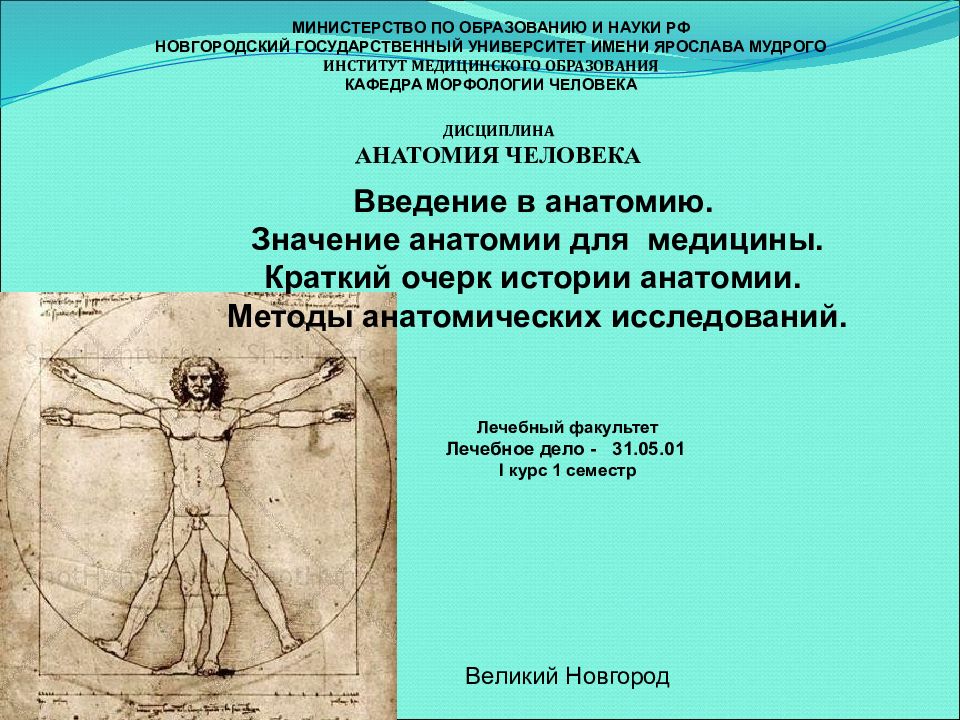 Введение в анатомию. Значение анатомии для медицины. Краткий очерк истории