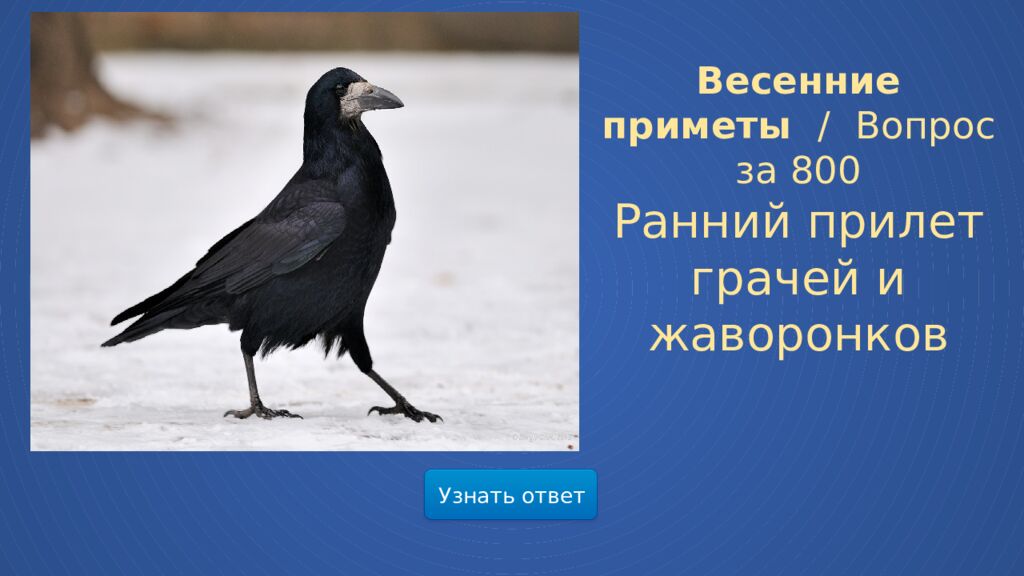 Мир весенней природы