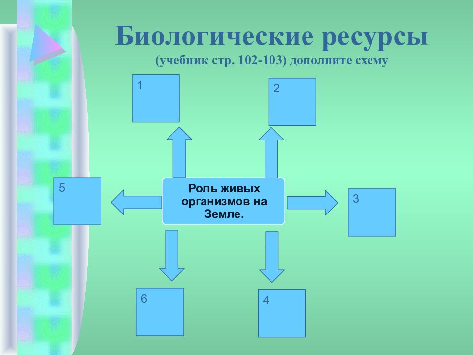 Презентация биологические ресурсы