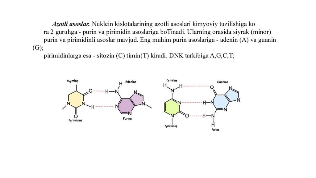 DNK ning tuzilishi va DNK replikatsiyasi DNK ning tuzilishi va DNK replikatsiyasi