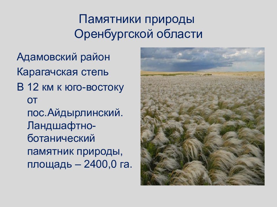 Памятник природы положение. Карагачская степь Оренбургская область. Памятники природы Оренбуржья. Памятник природы Оренбургской. Сообщение на тему памятники природы Оренбургской области.