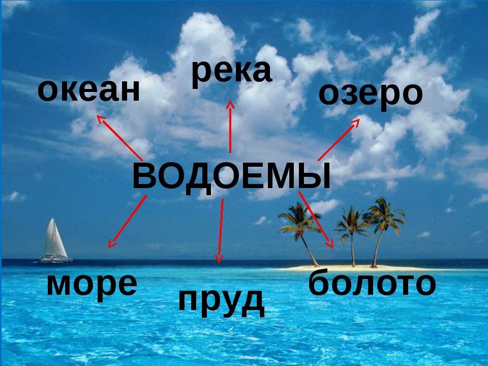 Чем отличается море от океана