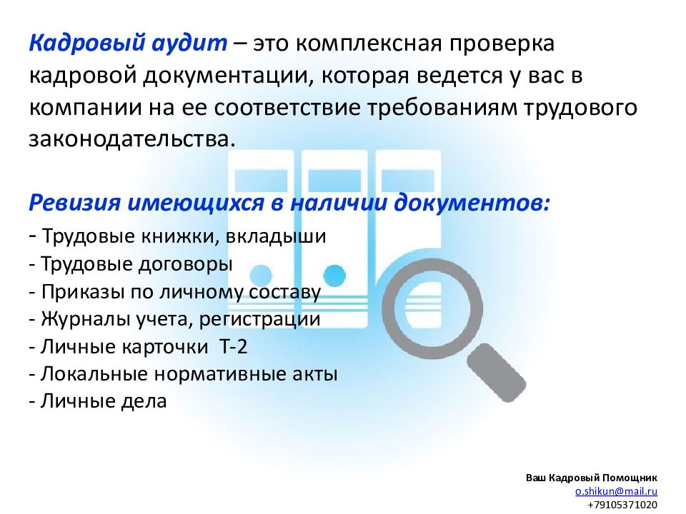 Отчет по кадровому аудиту образец