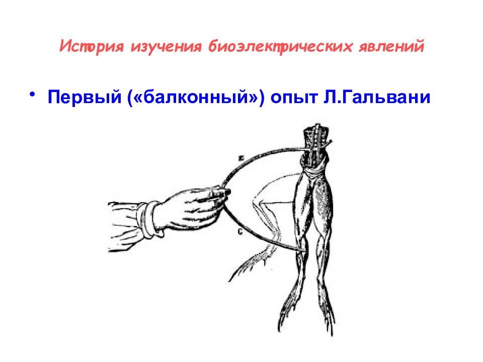 Схема первый опыт гальвани