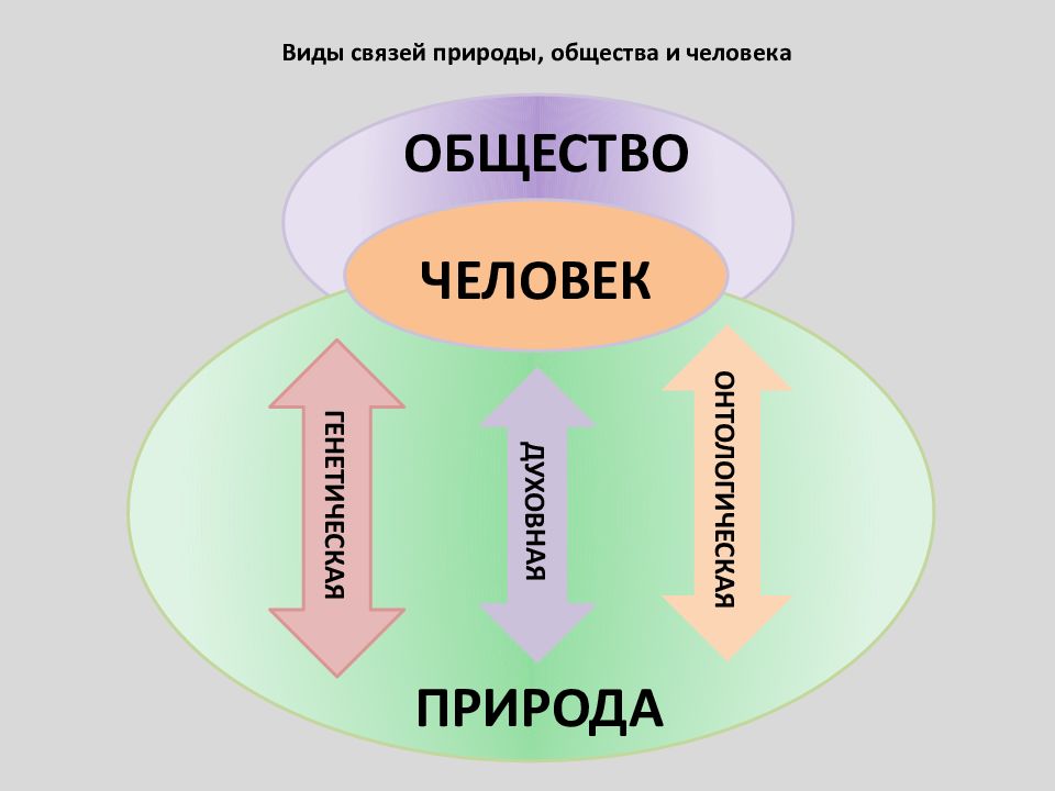 Связь природы и человека схема