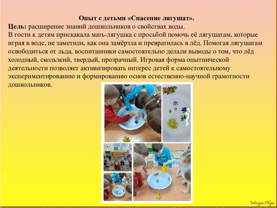 Муниципальное автономное образовательное учреждение « Экономический