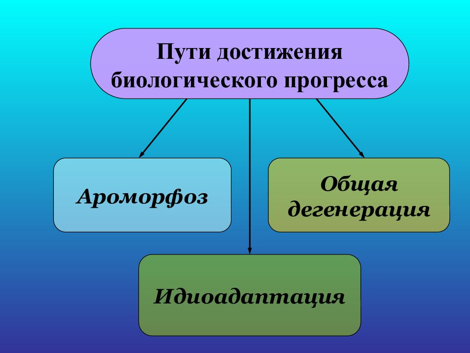 Направления эволюции определение. Ароморфоз идиоадаптация дегенерация. направления эволюции презентация. пути достижения биологического прогресса. пути достижения биологического прогресса ароморфоз.