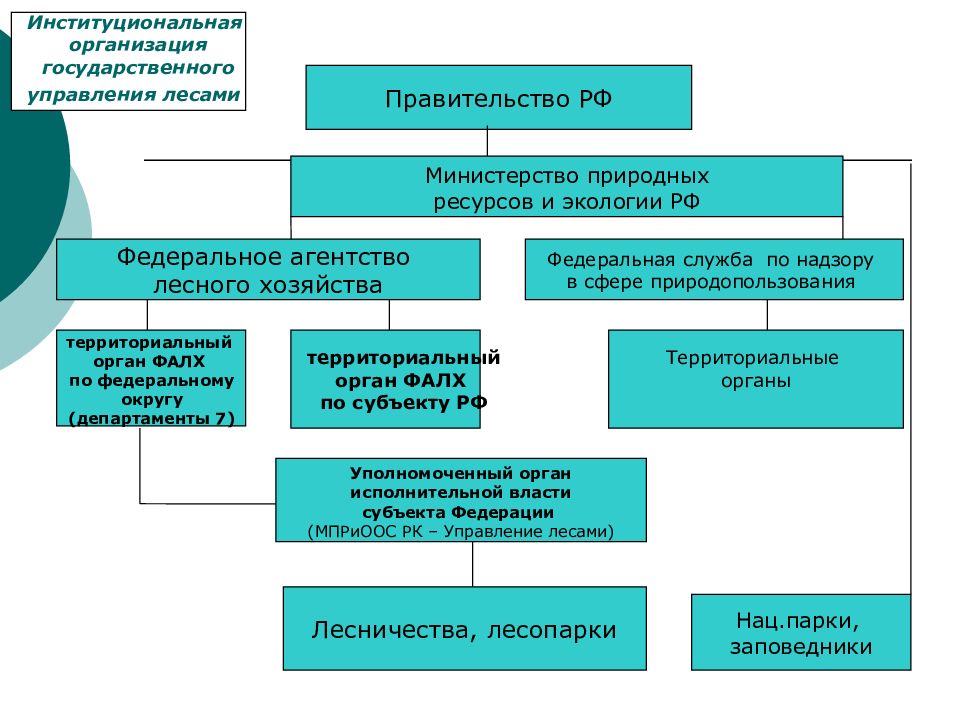 Министерство природных ресурсов и экологии презентация