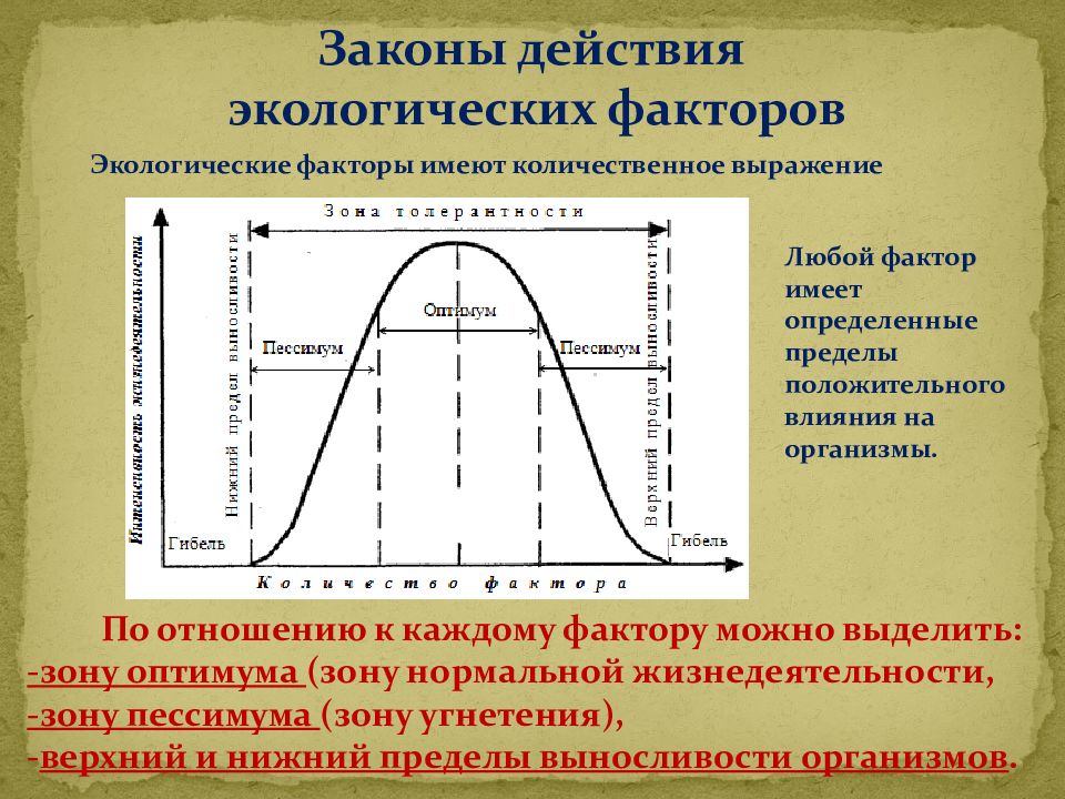 Законы действия факторов среды на организмы презентация