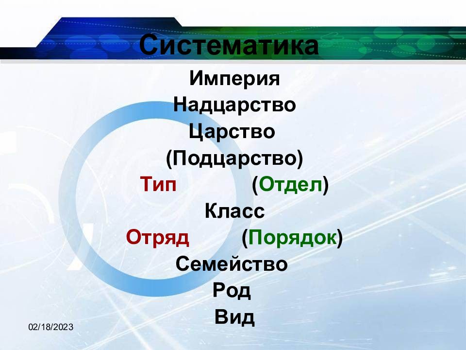 Класс отряд семейство род