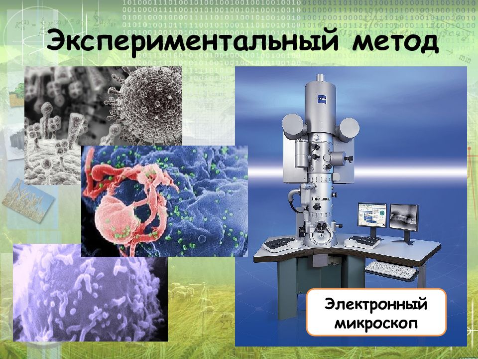 Презентация по биологии методы биологии