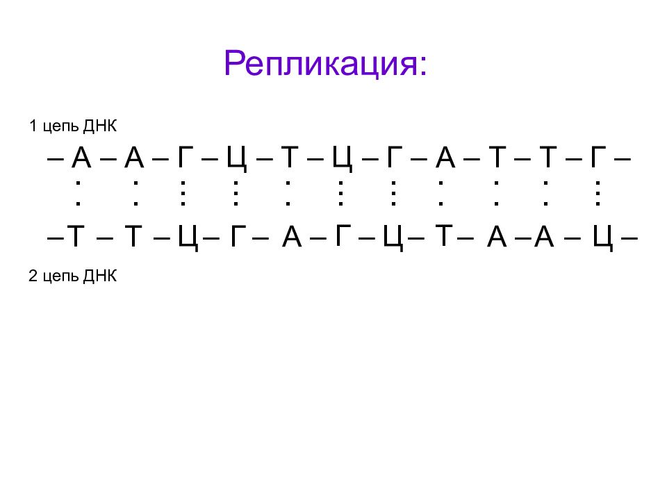 А г т ц днк цепь. Цепочка ДНК А-Ц-Г-Т-А-Г-Ц-Т-А-Г вторая цепь. ДНК 1 цепь ц г г г т т а г т а ДНК 2 цепь. Цепочка ДНК Г-Г-Г-Ц-А-А-Т-Т-Ц-А. А Г Ц А Т Т Г Ц А ДНК 2 цепь.