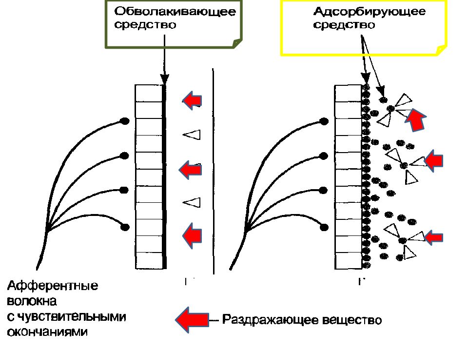 Адсорбирующие средства. Механизм действия обволакивающих веществ. Механизм действия адсорбирующих средств.