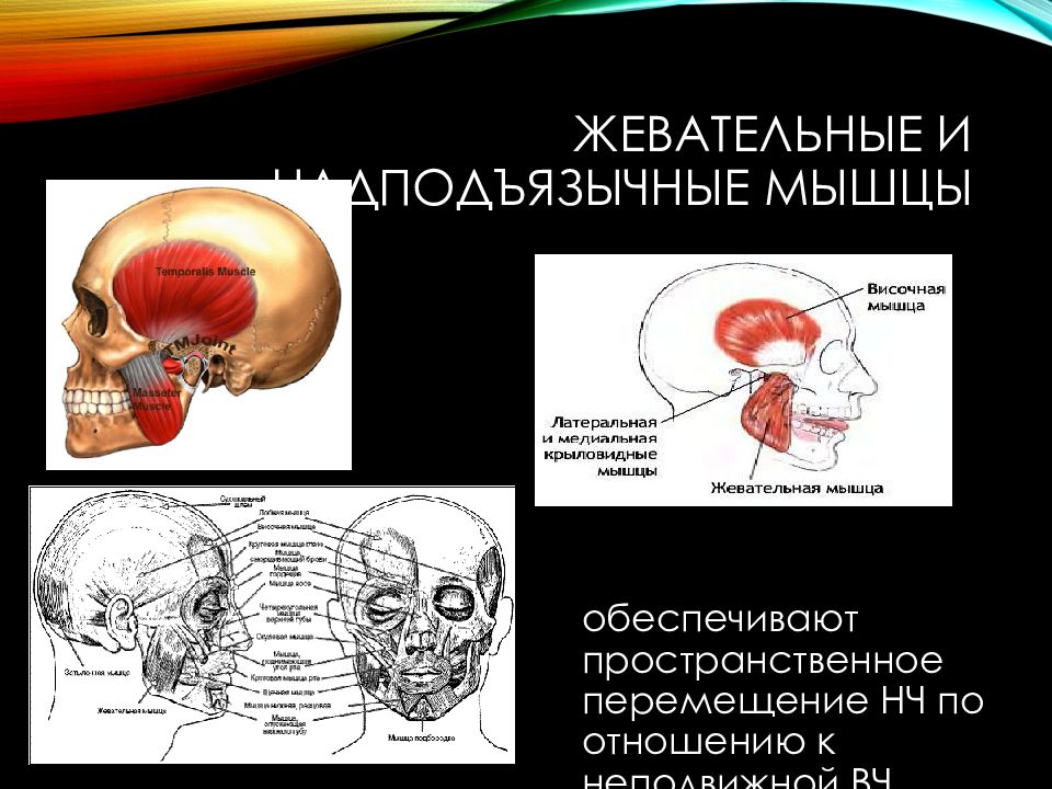 Клинический случай по ортопедической стоматологии презентация