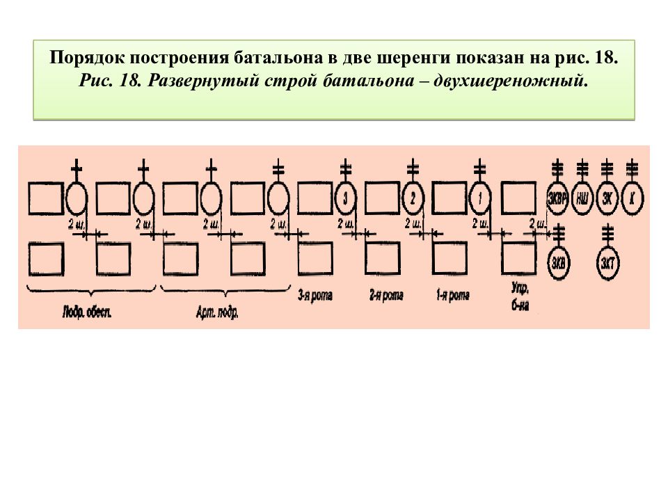 Порядок в строю. Походный Строй батальона. Порядок построения батальона. Развернутый Строй батальона. Развернутый двухшереножный Строй.