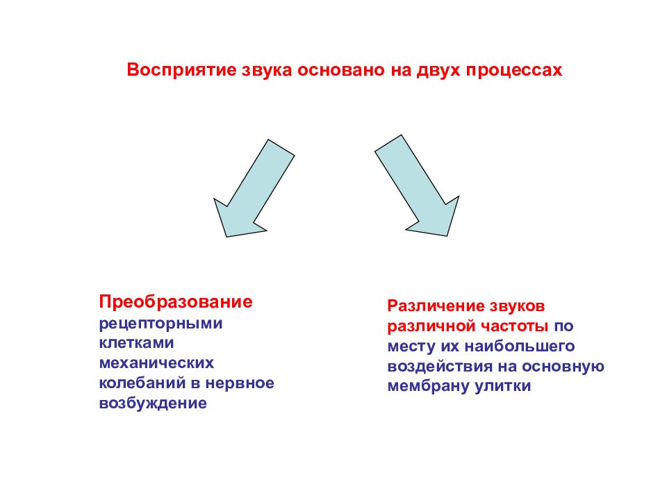 Двойной процесс. Восприятие звуков различной частоты. Восприятие сигнала. Процесс восприятия звука. Восприятие сигналов и их оценка это.