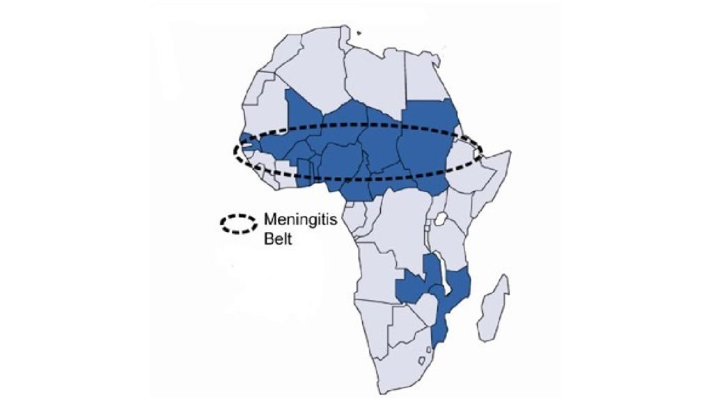 Страны медного пояса. Медный пояс Африки государства. Менингитный пояс Африки. Государства медного пояса Африки на карте. Меденосный пояс центральной Африки.