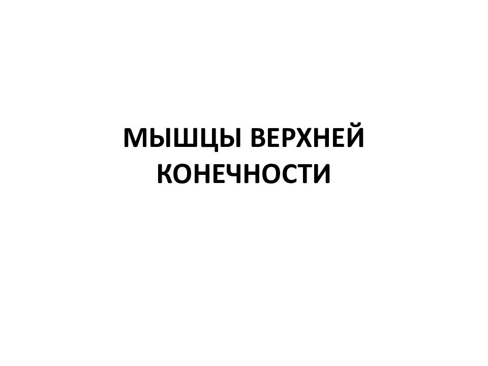 МЫШЦЫ ВЕРХНЕЙ КОНЕЧНОСТИ