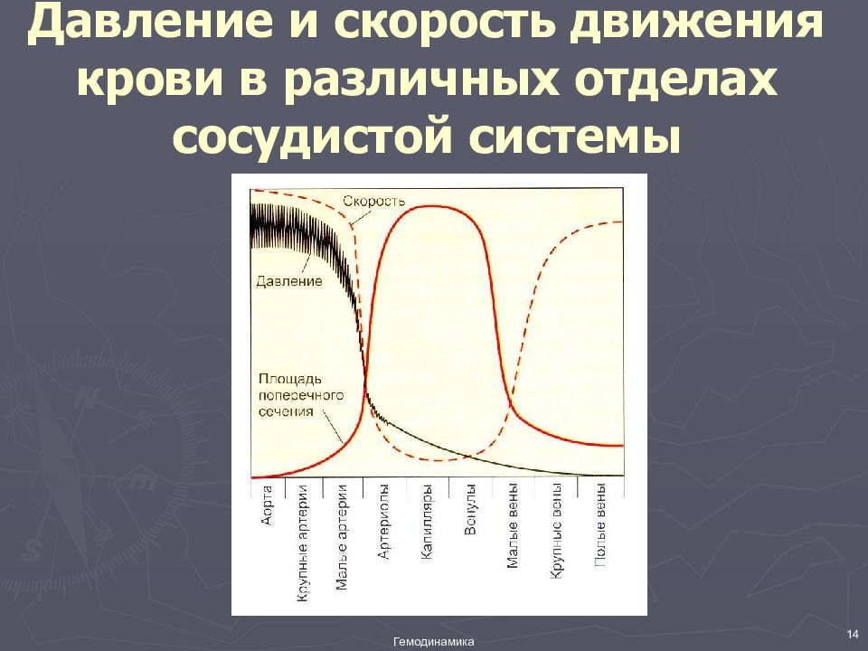 Схема аномалии кровяного давления