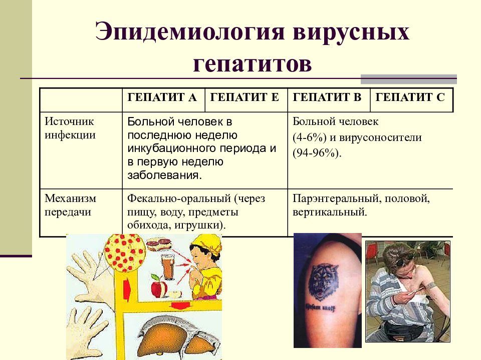Кишечные инфекции вирусный гепатит