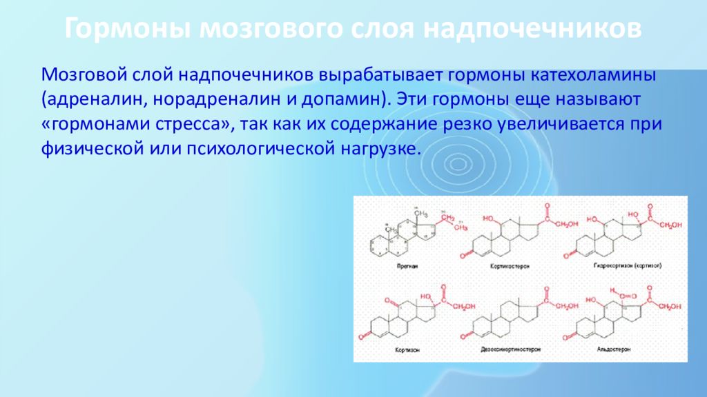 Мозговой слой. Реакции синтеза гормонов мозгового слоя надпочечников. Строение и биологическую роль гормонов мозгового слоя надпочечников.. Гормоны мозгового слоя надпочечников биохимия. Мозговой слой надпочечников вырабатывает гормон.