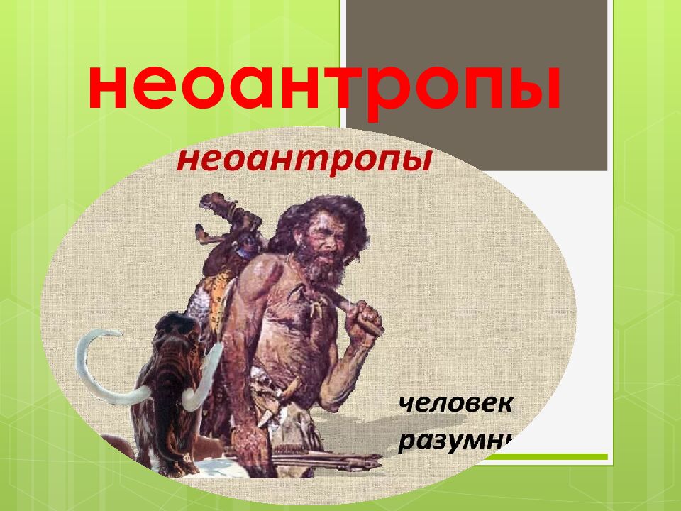 неоантропы