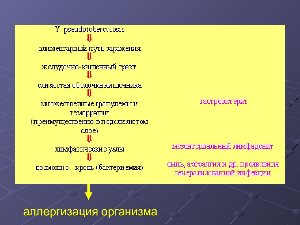 Алиментарный путь