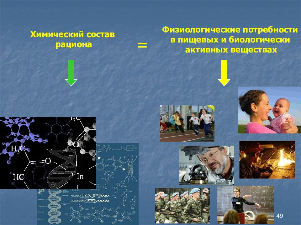 Химия образ. Сетко питание как фактор здорового образа жизни детей и подростков.