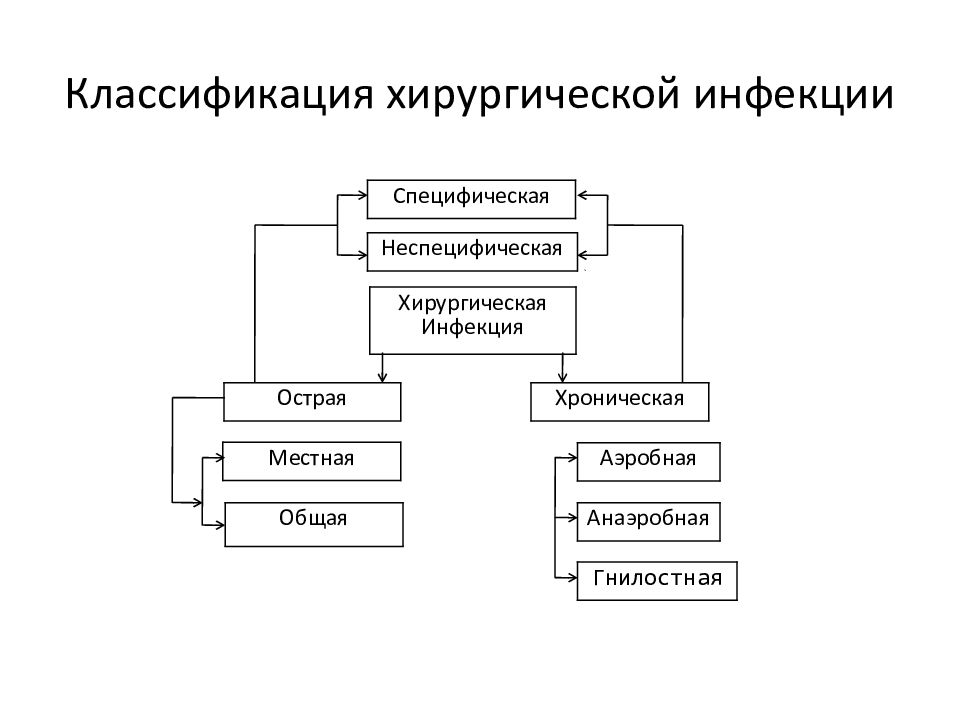 Виды инфекции схема