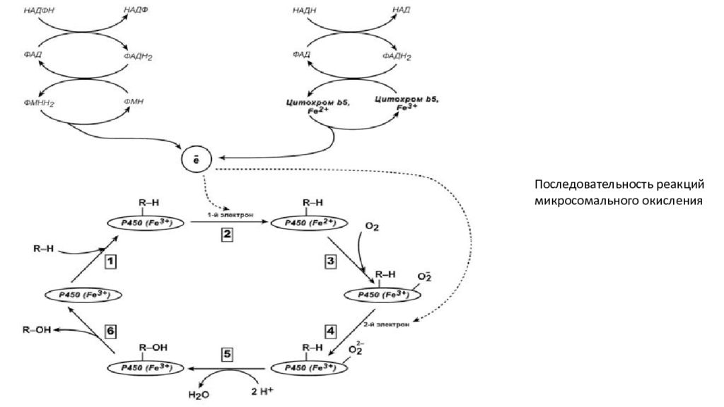 схема отражающая процесс окисления