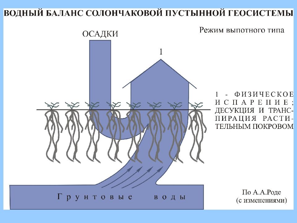 Типы водного режима. Водный баланс геосистем. Морфолитогенез. Уравнение водного баланса геосистем. Водный баланс таежной геосистемы.