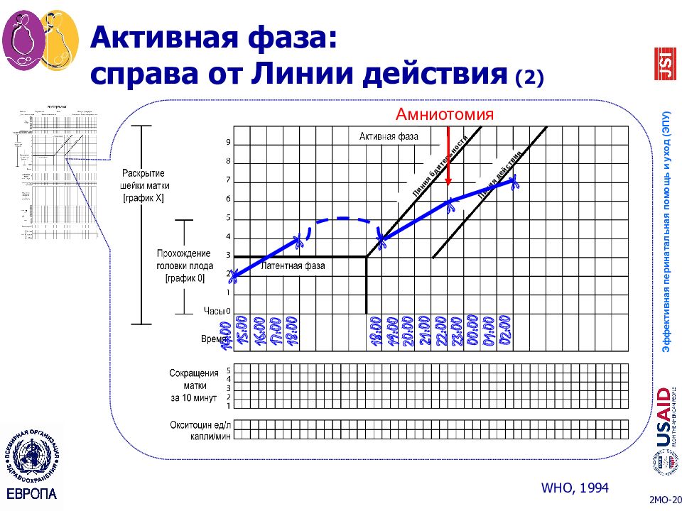 Партограмма в родах образец