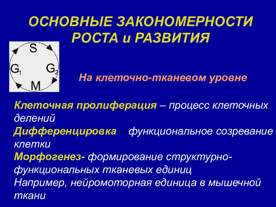 Общие закономерности науки. Основные закономерности роста и развития. Характеристика процесса роста клетки. Характеристика процесса движения клетки. Закономерности роста культур клеток.