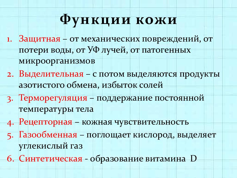 Биология 8 класс терморегуляция презентация