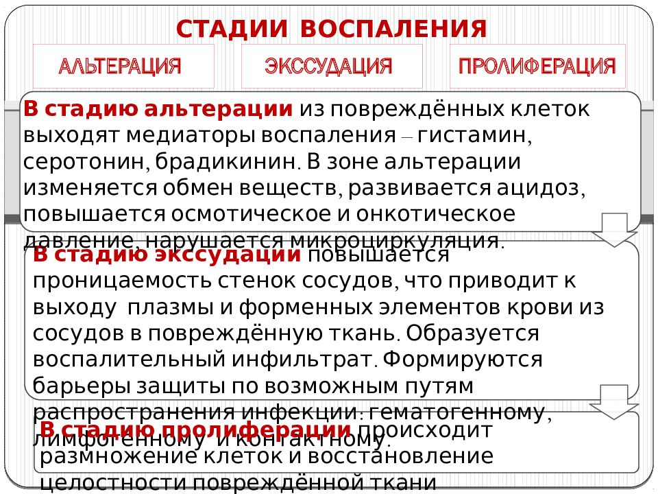 Экссудация это в патологии. Альтерация патогенез стадии воспаления. Фазы процесса воспаления. Стадии течения воспалительного процесса. Стадии фазы воспаления.